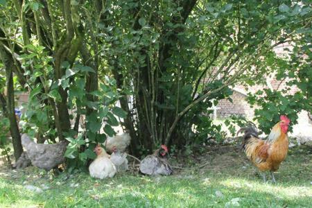 La Petite Maison Arc-En-Ciel La Feuillie  ภายนอก รูปภาพ
